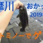 多摩川 スモールマウスバス釣り ポイント紹介 多摩川 バス釣り ＆シーバス釣り