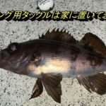 [飛ばしウキ]シーバスロッドでメバリング