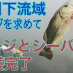 2019 荒川下流 荒川 都内 バス釣り シーバス釣り