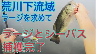 2019 荒川下流 荒川 都内 バス釣り シーバス釣り