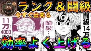 【七つの大罪グラクロ】初心者必見！ランクと闘級を効率よく上げる方法！装備はあれがおすすめ！【グランドクロス】ガチャ