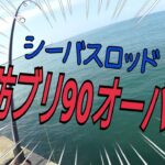 【ショアジギ】堤防シーバスロッドで鰤９０オーバー！ヒット前から！      サーフ青物