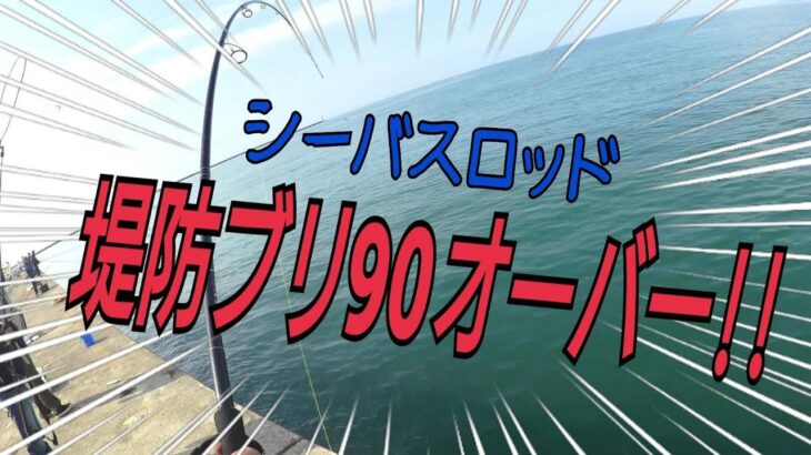 【ショアジギ】堤防シーバスロッドで鰤９０オーバー！ヒット前から！      サーフ青物