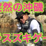 突然の沖磯ヒラスズキゲーム