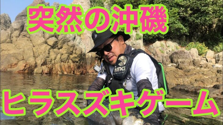 突然の沖磯ヒラスズキゲーム