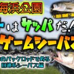 若洲海浜公園 ベイトはサッパだ！夏のデイゲームシーバス！ – 噂のパックロッドで釣る回遊系シーバス – 東京湾