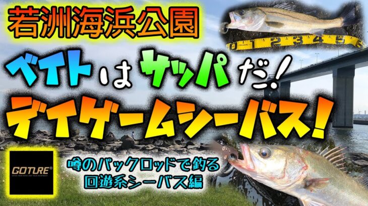 若洲海浜公園 ベイトはサッパだ！夏のデイゲームシーバス！ – 噂のパックロッドで釣る回遊系シーバス – 東京湾