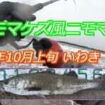 2019年10月上旬いわき:雨ニモマケズ風ニモマケズ、シーバスを釣る、オマケでマゴチ/ヒラメ！