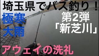 【埼玉バス釣り調査】第2弾 芝川・新芝川 埼玉 東京 荒川水系 バス釣り シーバス釣り