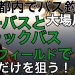 シーバスが多い川でラージを釣り分ける！ラージ2匹ゲット！ 汽水域の川での釣り分け 関東 東京 都内 埼玉 バス釣り