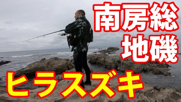 【南房総・館山地磯の釣り】ヒラスズキ狙いのショアジギング