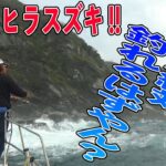 【沼島×ヒラスズキ 前編】こんなん絶対釣れるはずやん？