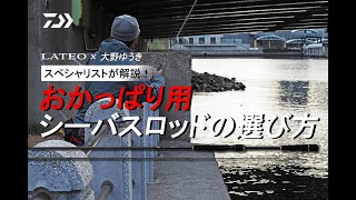 入門者必見！　大野ゆうきが解説　港湾シーバスロッドの選び方