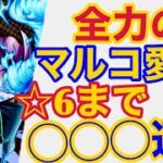 【バウンティラッシュ】全力のマルコ愛で☆６まで〇〇○連!!【ONE PIECE】#323