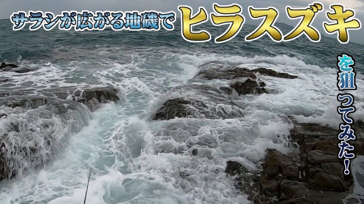 サラシが広がる長崎の地磯で、ヒラスズキを狙う！！あまりの時化で命の危険も！？荒磯の王者「ヒラスズキ」は、はたして釣れるのかいかに？？