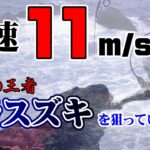 風速11ｍ/ｓの中・・・ヒラスズキを求めて長崎の地磯へ！！ヒラ撃ちしてたら、まさかのあの魚（凶悪犯）が釣れてしまったｗｗｗ