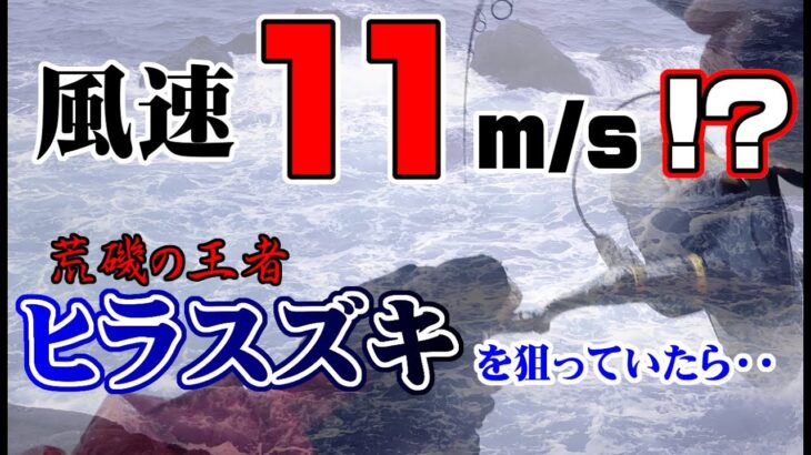 風速11ｍ/ｓの中・・・ヒラスズキを求めて長崎の地磯へ！！ヒラ撃ちしてたら、まさかのあの魚（凶悪犯）が釣れてしまったｗｗｗ