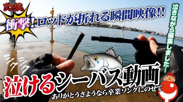 30,000円のシーバスロッドをフルキャストした瞬間…悲劇が！