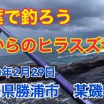 磯からのヒラスズキ狙い 2020年2月29日 千葉県勝浦市