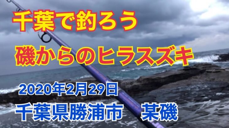 磯からのヒラスズキ狙い 2020年2月29日 千葉県勝浦市