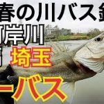 【埼玉バス釣り調査】第5弾　新河岸川 【前編】シーバスヒット　埼玉　川　バス釣り