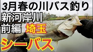 【埼玉バス釣り調査】第5弾　新河岸川 【前編】シーバスヒット　埼玉　川　バス釣り