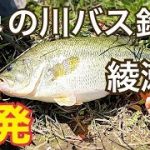 【埼玉バス釣り調査】第6弾　綾瀬川　ラージ　シーバス　ナマズゲット　埼玉　川　バス釣り　シーバス釣り