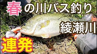 【埼玉バス釣り調査】第6弾　綾瀬川　ラージ　シーバス　ナマズゲット　埼玉　川　バス釣り　シーバス釣り