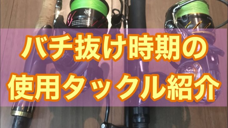 【シーバス】バチ抜け時期の使用タックル、セッティング、合わせ方について解説