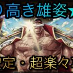 超進化白ひげ！誇り高き雄姿★11！超安定・超楽々攻略！［OPTC］［トレクル］［ONE PIECE　Treasure　Cruise］［원피스 트레져 크루즈］［ワンピース］