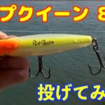 【紀の川　バス釣り】シーバス用ルアーを投げてみた