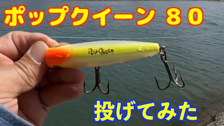 【紀の川　バス釣り】シーバス用ルアーを投げてみた