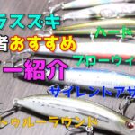 【初心者必見】ヒラスズキおすすめルアー３選！長崎県で実績有り！