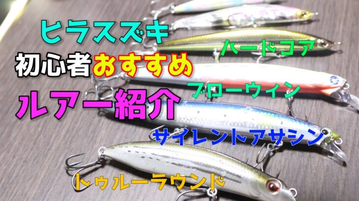 【初心者必見】ヒラスズキおすすめルアー３選！長崎県で実績有り！