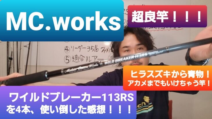 ヒラスズキロッド　ワイルドブレーカー　113R/S 4本使い倒した　レビュー