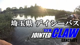 埼玉 シーバス釣り 近所の川でジョイクロ128でデイゲーム！