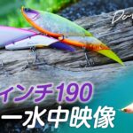 【ダヴィンチ190】斜めジョイントのなまめかしいアクションを水中で見てみた！