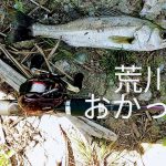 荒川　シーバス　攻略　三領水門　釣り研究室6　おかっぱり　バス釣り