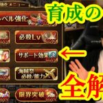 [トレクル] 育成の仕方全解説! 初心者さん向け! [強化/進化/必殺Lv/能力開放/限界突破/潜在能力/サポート効果/拡張限界突破/海賊祭能力][OPTC]