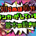 必見!!ランカーが教える立ち回りの基本!!【バウンティラッシュ】【ONE PIECE】Bounty Rush Tutorial for Ranker