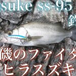 【sasuke ss 95】で釣る　荒磯のファイター　ヒラスズキ