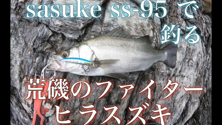 【sasuke ss 95】で釣る　荒磯のファイター　ヒラスズキ