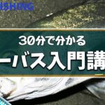 【シーバス入門講座】初心者の疑問を釣りプロが徹底解説！（実釣映像多数）