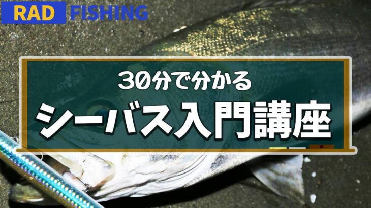 【シーバス入門講座】初心者の疑問を釣りプロが徹底解説！（実釣映像多数）