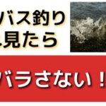 シーバスをバラさないための３つのスキル！知ってるだけで段違いの効果です！