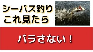 シーバスをバラさないための３つのスキル！知ってるだけで段違いの効果です！