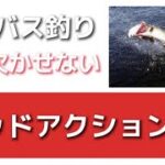 シーバス釣りの必須スキル！ロッドアクション５選！と亭主関白時代の爆笑クソエピソード！