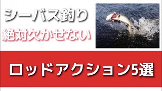 シーバス釣りの必須スキル！ロッドアクション５選！と亭主関白時代の爆笑クソエピソード！