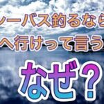 【シーバス初心者向け講座】シーバス釣りたきゃ河口に行け！ってみんな言うけどなんで？　近所の河口と汽水域とシーバスの動きを例に解説！