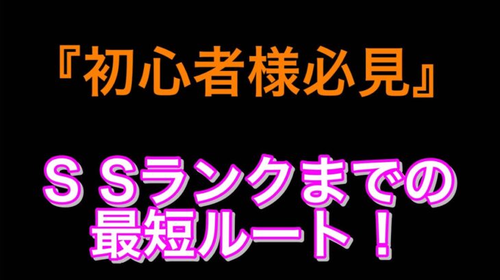 【バウンティラッシュ】初心者様向けバウンティ攻略！